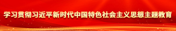 大黑屌和水嫩逼学习贯彻习近平新时代中国特色社会主义思想主题教育